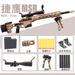 msr 1221 (4)